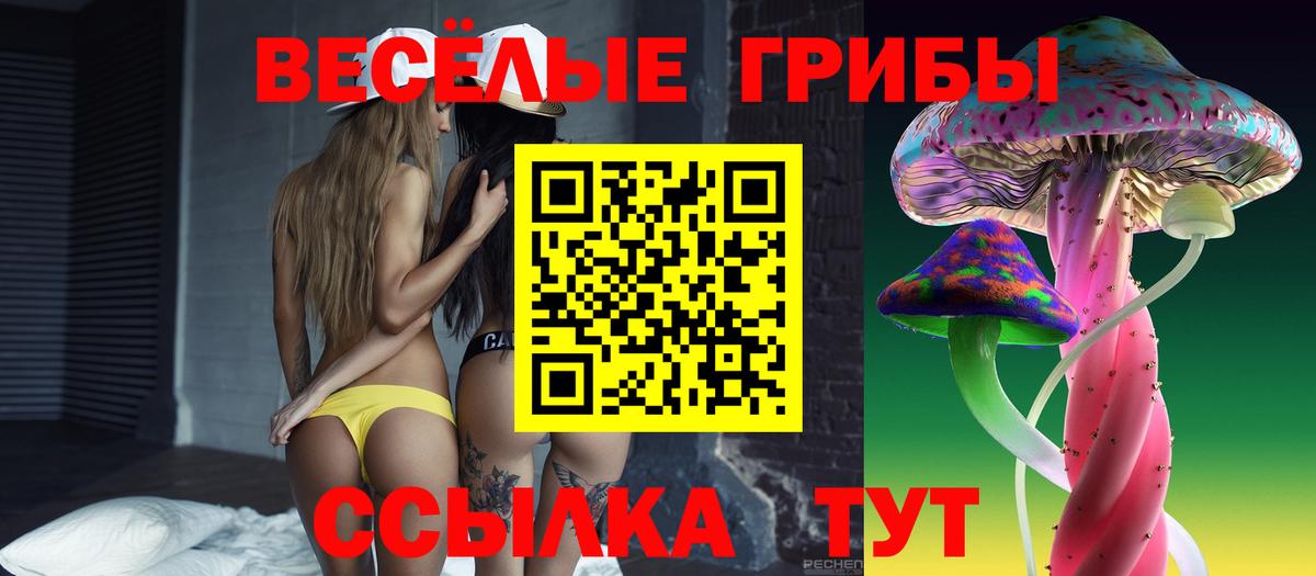 Псилоцибиновые грибы Psilocybe Каспийск